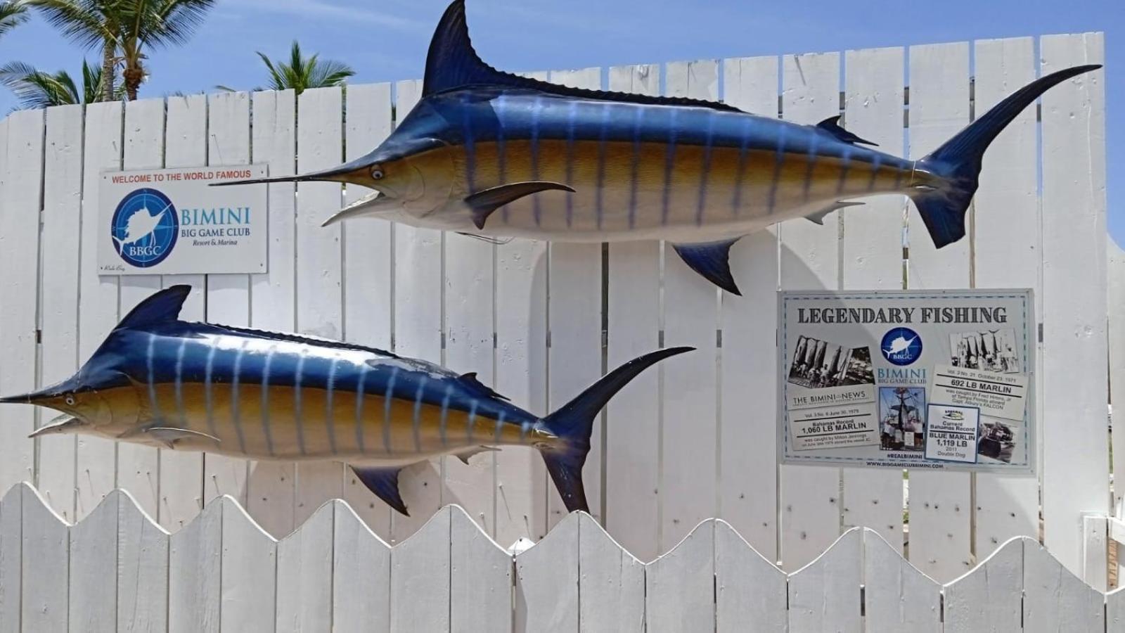 Bimini Big Game Club Resort & Marina Alice Town  Extérieur photo
