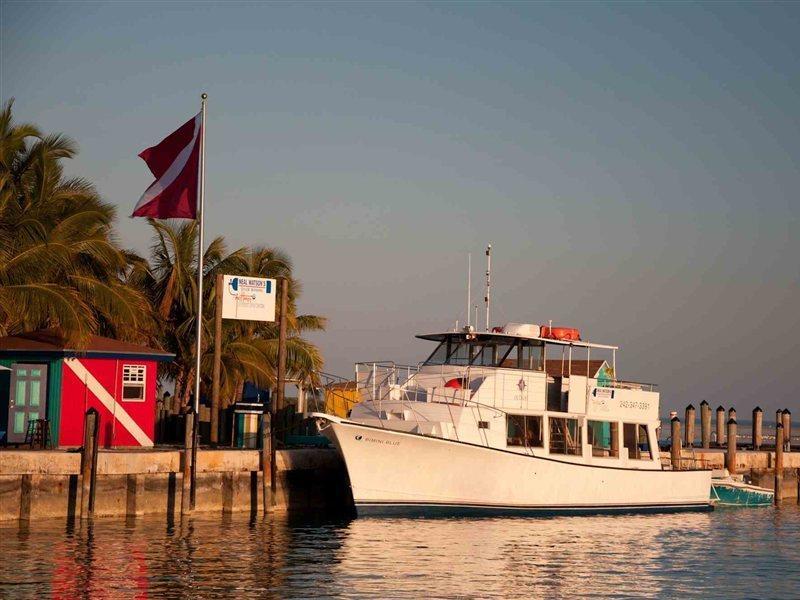 Bimini Big Game Club Resort & Marina Alice Town  Commodités photo
