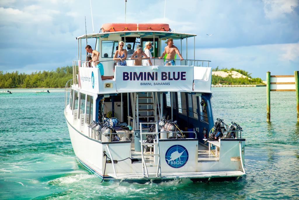 Bimini Big Game Club Resort & Marina Alice Town  Extérieur photo